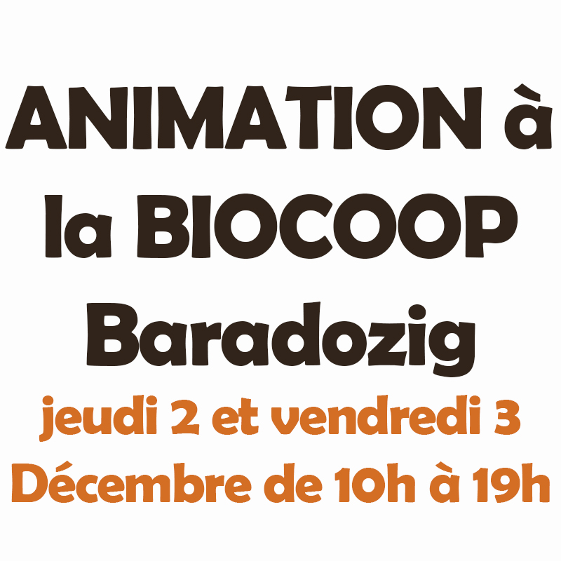 Animation Biocoop noel 2021