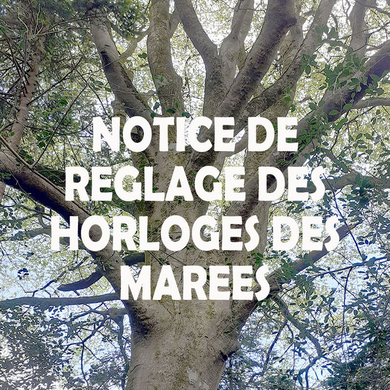 Régler mon horloge des marées