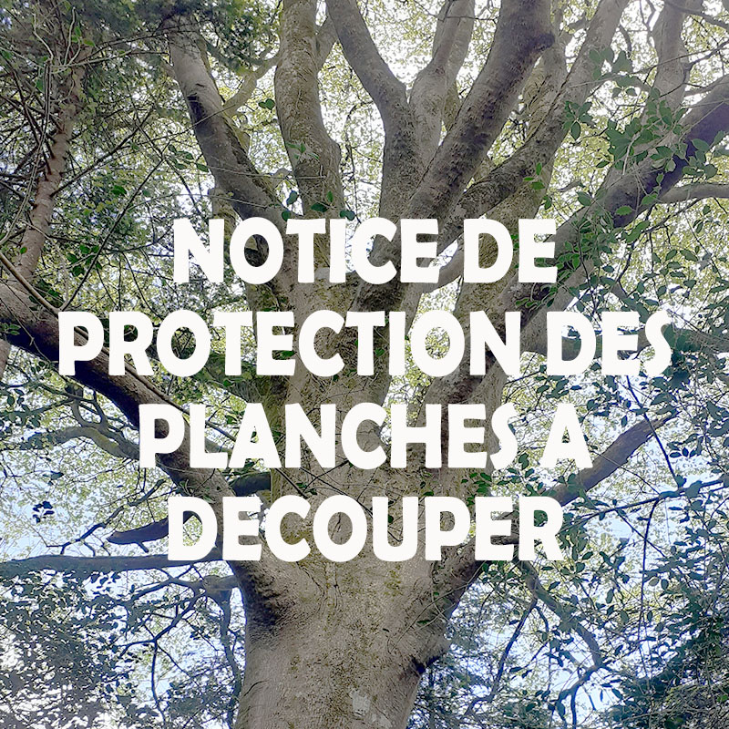 Comment protéger ma planche à découper ?